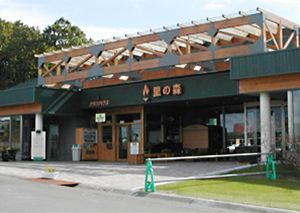 天然温泉森のゆ