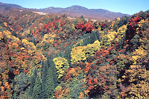 なべくら展望台