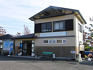 竜串ダイビングセンター