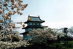 横綱千代の山・千代の富士記念館