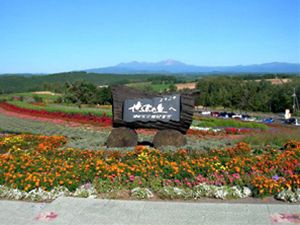 美瑛ぜるぶの丘