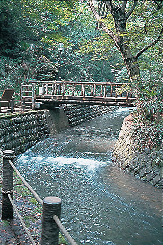 等々力渓谷公園