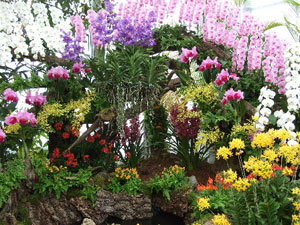 安田フラワーガーデン