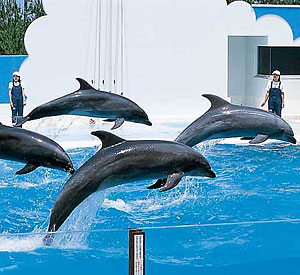 マリンピア日本海