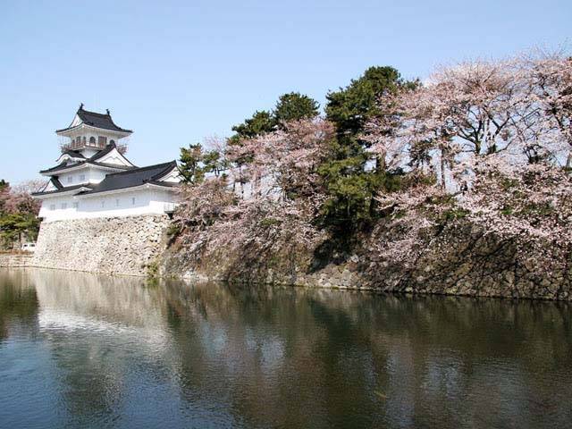 富山城址公園