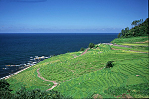 千枚田ポケットパーク